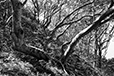 Against the Elements 45